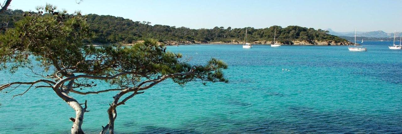 Spacieux Studio Sur Le Port De Hyères Dış mekan fotoğraf